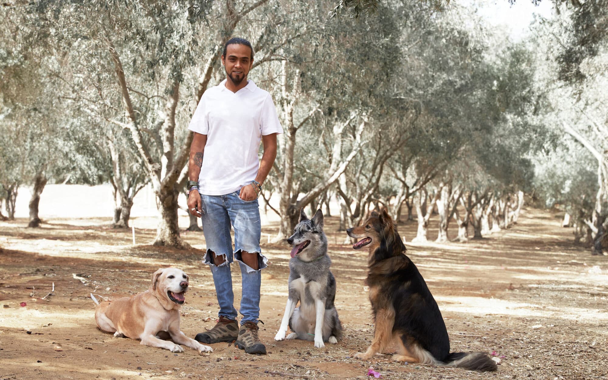 טל עם קרלוס ועוד שני כלבים מהלהקה במטע זיתים